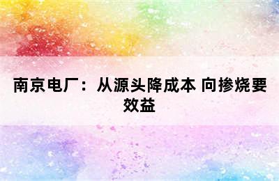 南京电厂：从源头降成本 向掺烧要效益